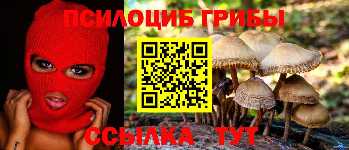 Псилоцибиновые грибы Cubensis  Вход с VPN  Лабинск 