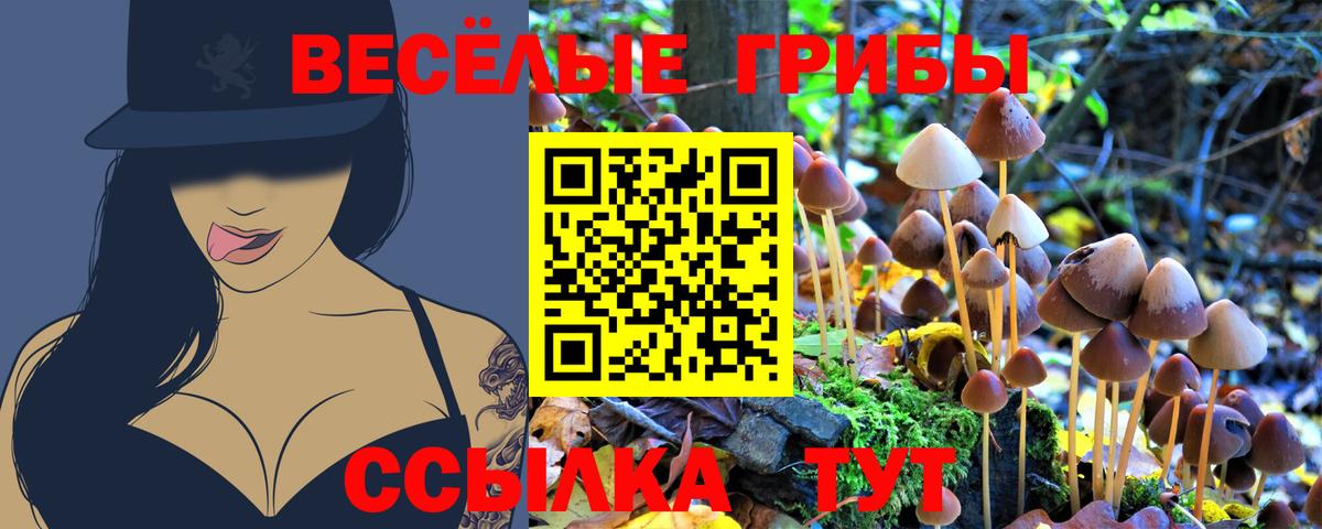 Галлюциногенные грибы мицелий Лабинск